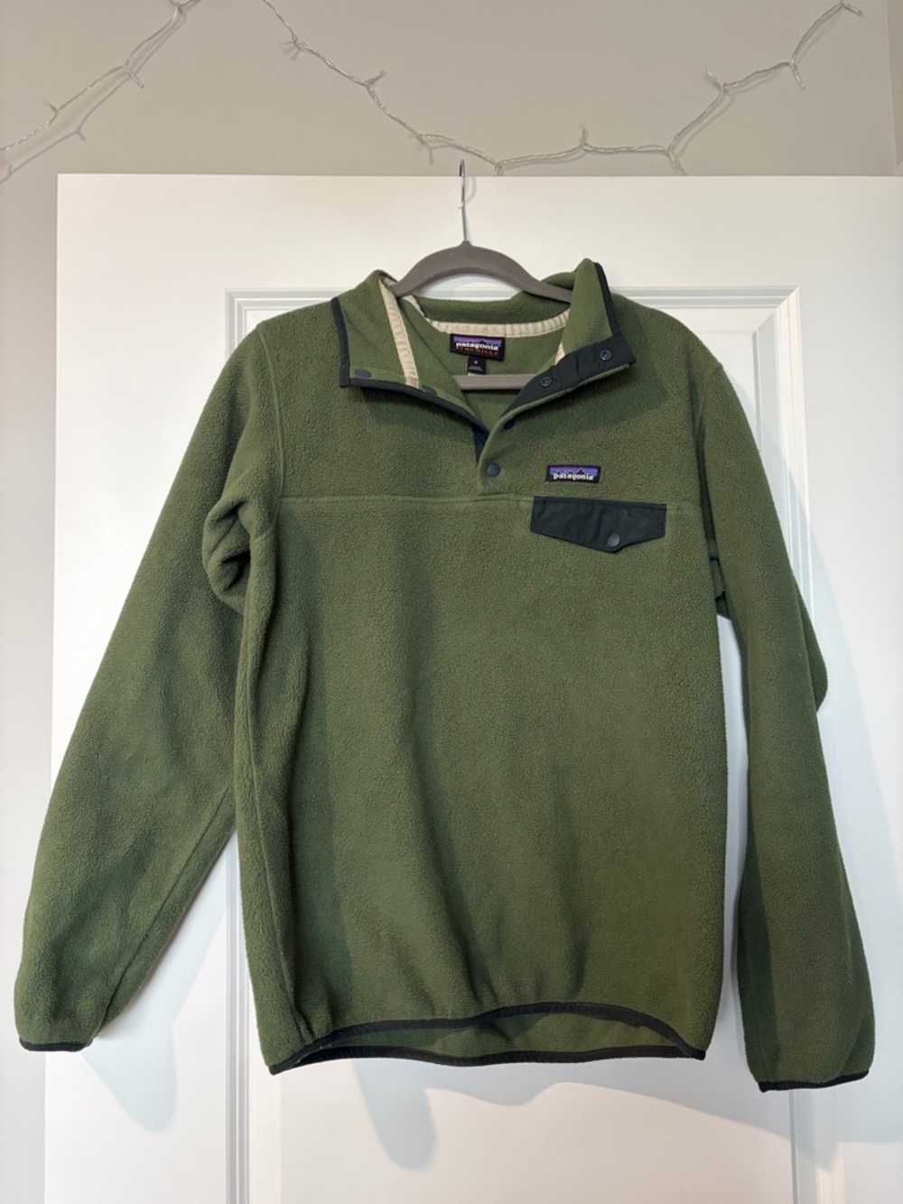 Patagonia Green Synchilla Fleece Pullover